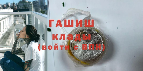 ECSTASY Ельня