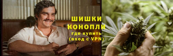 ECSTASY Ельня