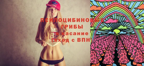 2c-b Елабуга