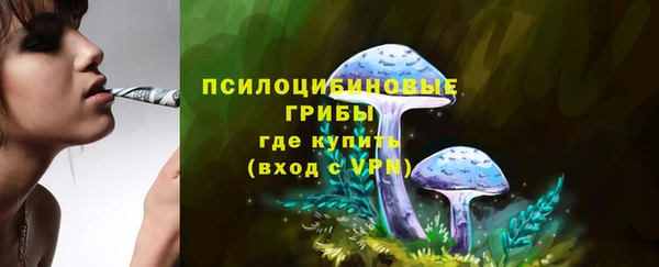 скорость Елизово