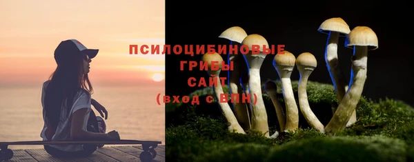 ECSTASY Ельня