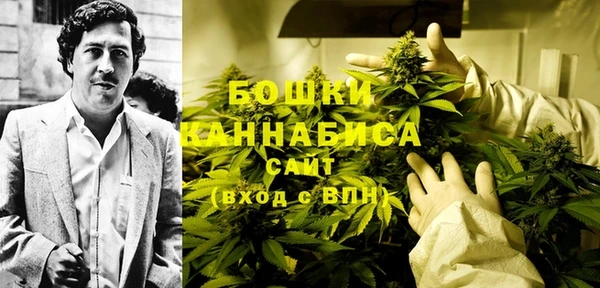 2c-b Елабуга