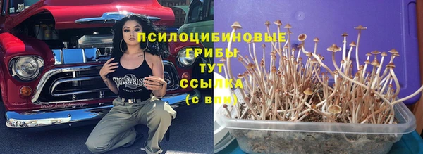 скорость Елизово