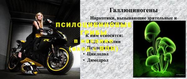 скорость Елизово