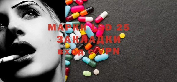 ECSTASY Ельня