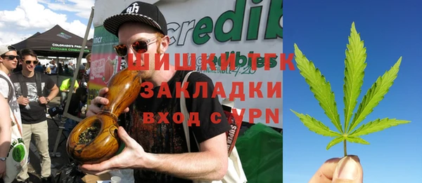 2c-b Елабуга