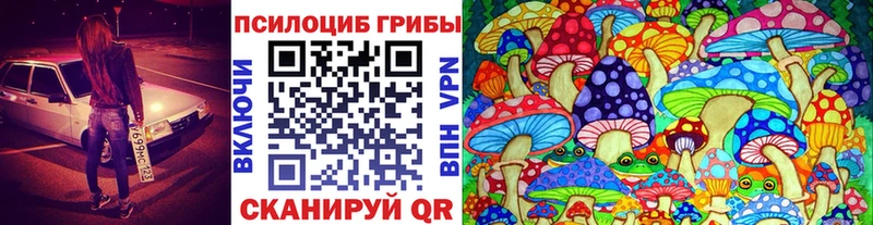 Галлюциногенные грибы MAGIC MUSHROOMS  shop наркотические препараты  kraken сайт  Юрюзань  закладка 